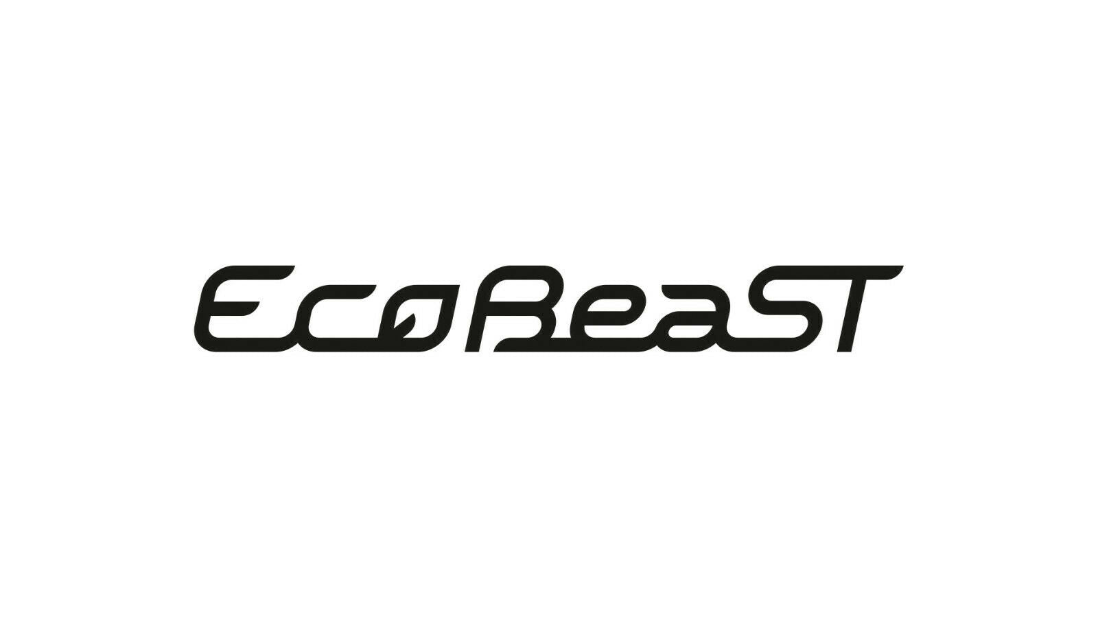 EcoBeaST Aufkleber für Fiesta Focus Sticker Power Tuning